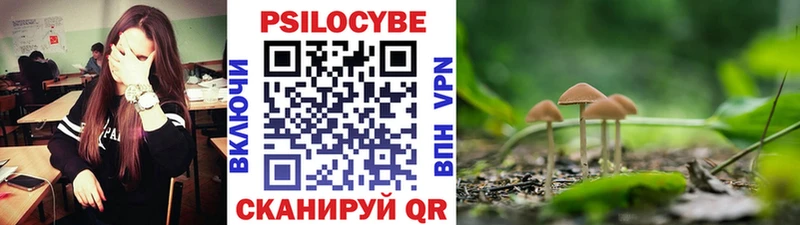 Купить где  Ковров  Галлюциногенные грибы прущие грибы 